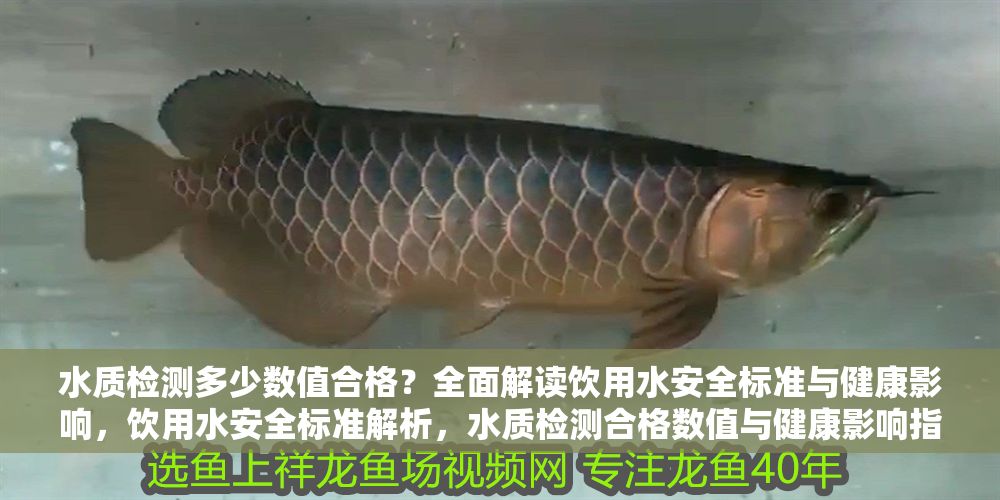 水質(zhì)檢測多少數(shù)值合格？全面解讀飲用水安全標(biāo)準(zhǔn)與健康影響，飲用水安全標(biāo)準(zhǔn)解析，水質(zhì)檢測合格數(shù)值與健康影響指南