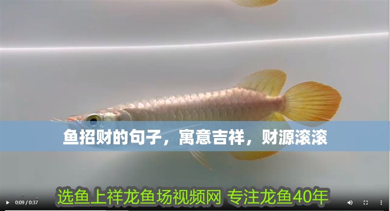 魚招財的句子，寓意吉祥，財源滾滾