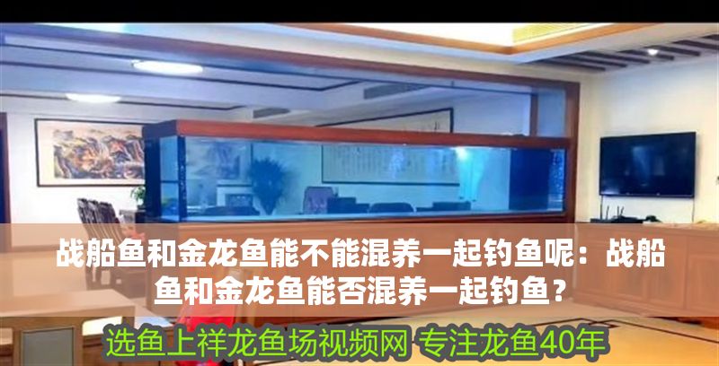 戰(zhàn)船魚和金龍魚能不能混養(yǎng)一起釣魚呢：戰(zhàn)船魚和金龍魚能否混養(yǎng)一起釣魚？