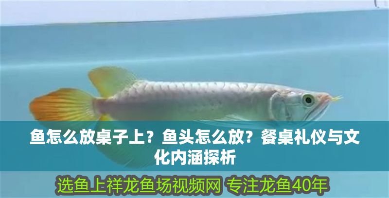 魚怎么放桌子上？魚頭怎么放？餐桌禮儀與文化內涵探析