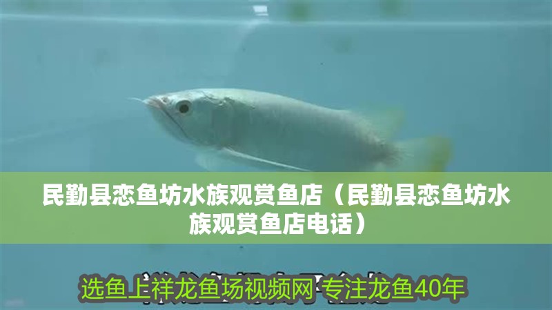 民勤縣戀魚坊水族觀賞魚店（民勤縣戀魚坊水族觀賞魚店電話）