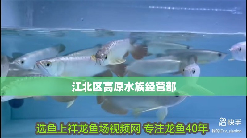 江北區(qū)高原水族經(jīng)營部