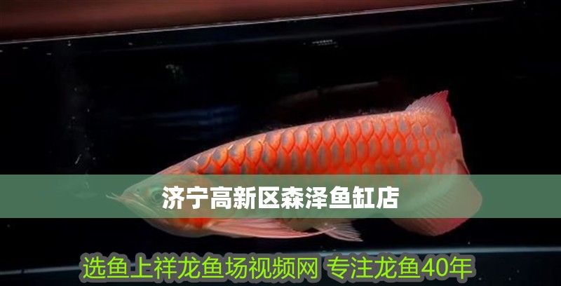 濟(jì)寧高新區(qū)森澤魚(yú)缸店