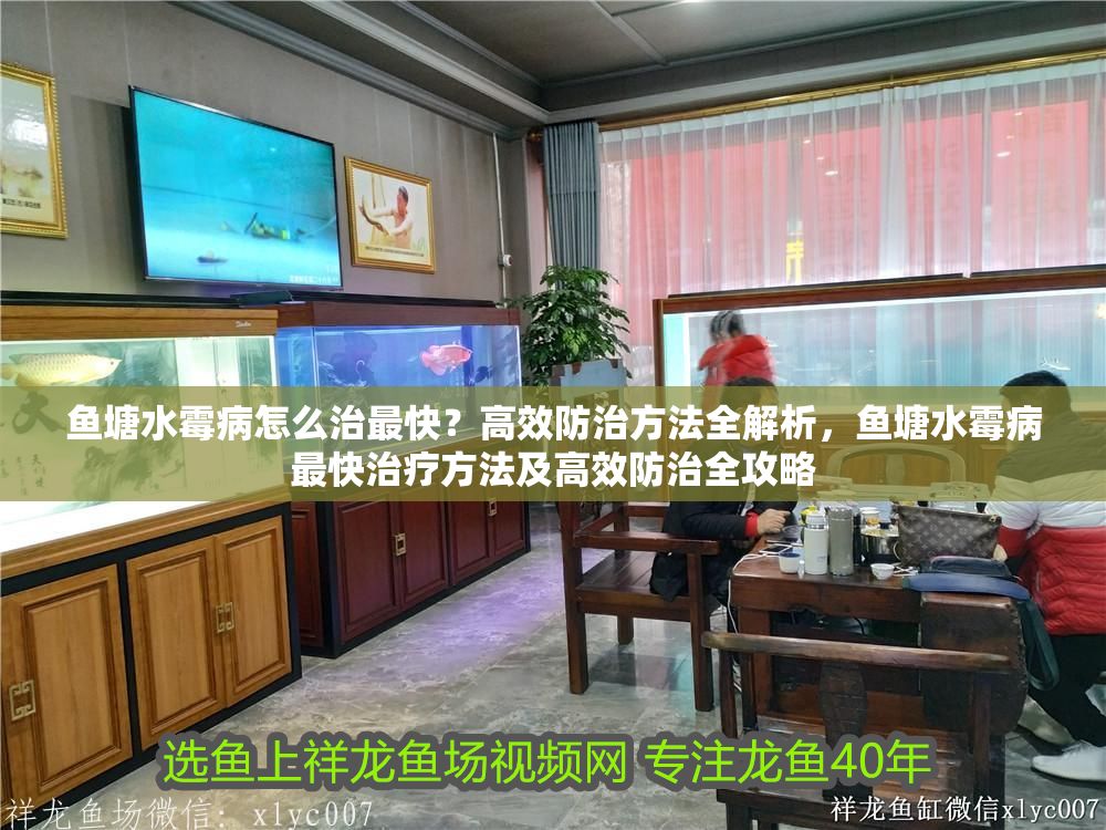 魚塘水霉病怎么治最快？高效防治方法全解析，魚塘水霉病最快治療方法及高效防治全攻略