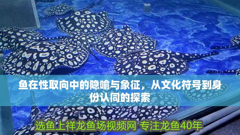 魚在性取向中的隱喻與象征，從文化符號到身份認同的探索