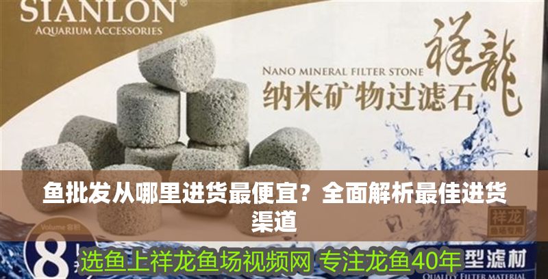 魚批發從哪里進貨最便宜？全面解析最佳進貨渠道