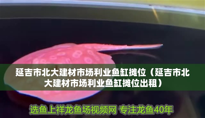 延吉市北大建材市場利業(yè)魚缸攤位（延吉市北大建材市場利業(yè)魚缸攤位出租）