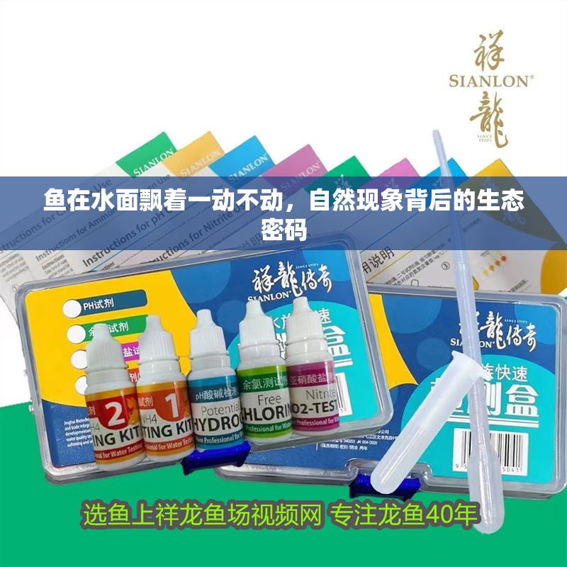 魚在水面飄著一動不動，自然現(xiàn)象背后的生態(tài)密碼