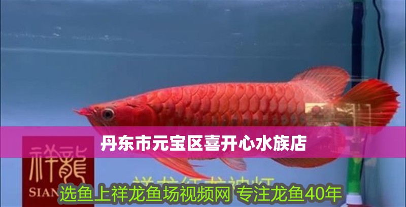 丹東市元寶區(qū)喜開(kāi)心水族店