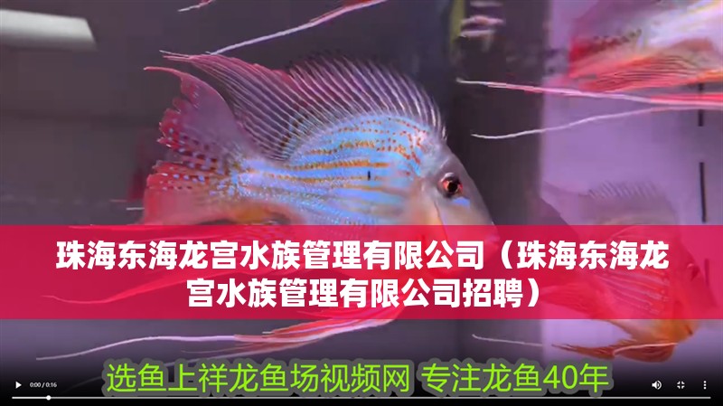 珠海東海龍宮水族管理有限公司（珠海東海龍宮水族管理有限公司招聘）