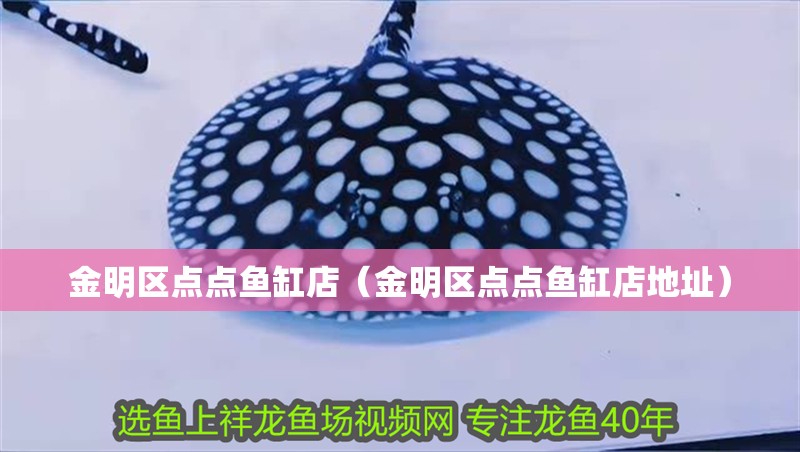 <strong><mark>金明</mark></strong>區(qū)點點魚缸店（<strong><mark>金明</mark></strong>區(qū)點點魚缸店地址）