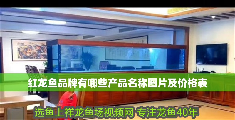 紅龍魚品牌有哪些產品名稱圖片及價格表