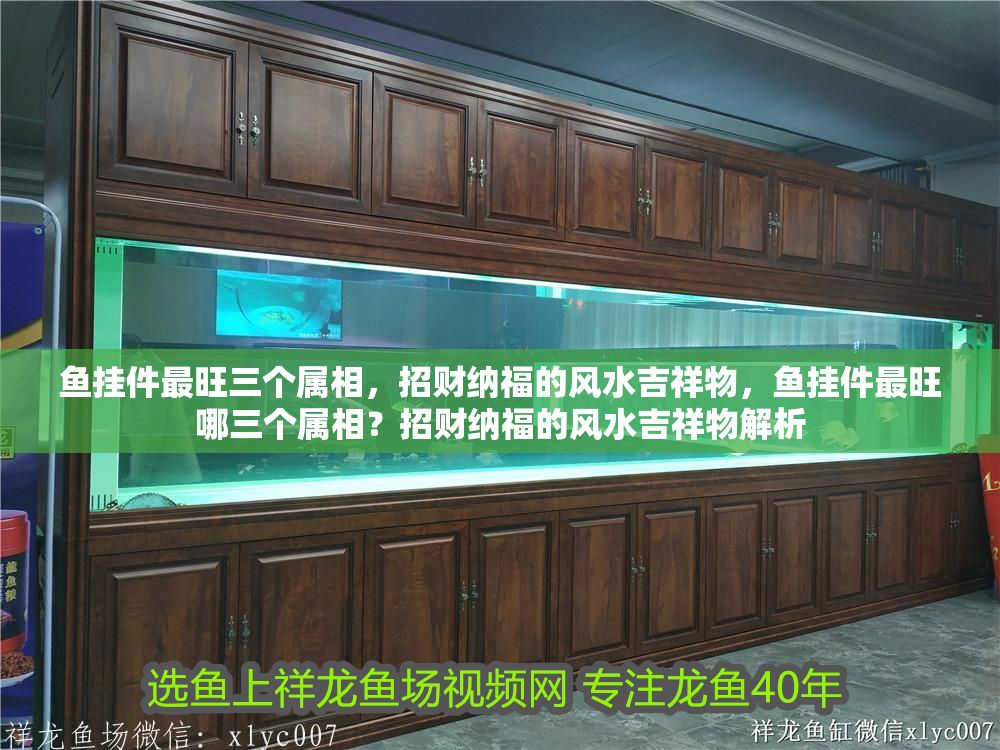 魚掛件最旺三個屬相，招財納福的風水吉祥物，魚掛件最旺哪三個屬相？招財納福的風水吉祥物解析