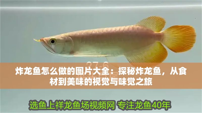炸龍魚怎么做的圖片大全：探秘炸龍魚，從食材到美味的視覺與味覺之旅