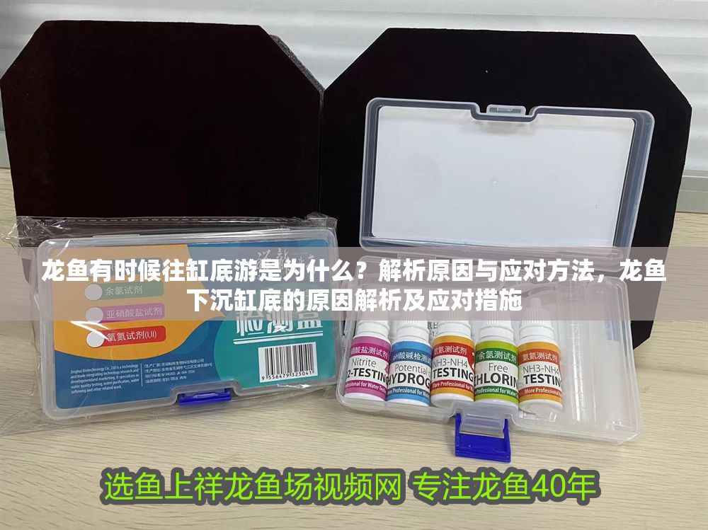 龍魚有時候往缸底游是為什么？解析原因與應對方法，龍魚下沉缸底的原因解析及應對措施