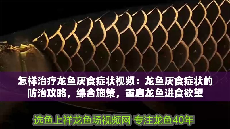 怎樣治療龍魚厭食癥狀視頻：龍魚厭食癥狀的防治攻略，綜合施策，重啟龍魚進(jìn)食欲望