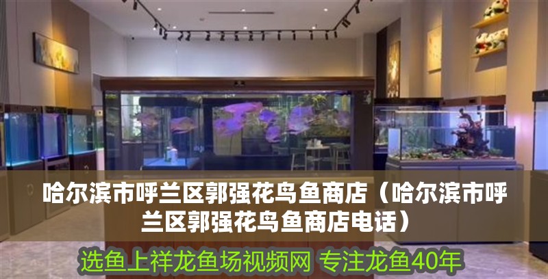 哈爾濱市呼蘭區郭強花鳥魚商店（哈爾濱市呼蘭區郭強花鳥魚商店電話）