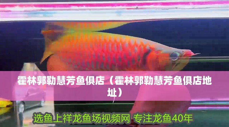 霍林郭勒慧芳魚俱店（霍林郭勒慧芳魚俱店地址）