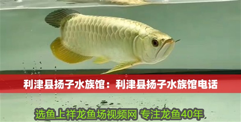利津縣揚子水族館：利津縣揚子水族館電話
