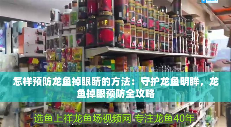 怎樣預防龍魚掉眼睛的方法：守護龍魚明眸，龍魚掉眼預防全攻略