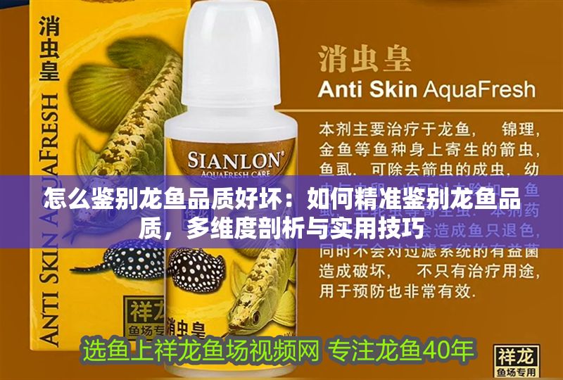 怎么鑒別龍魚(yú)品質(zhì)好壞：如何精準(zhǔn)鑒別龍魚(yú)品質(zhì)，多維度剖析與實(shí)用技巧