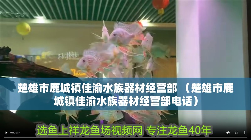 楚雄市鹿城鎮佳渝水族器材經營部 （楚雄市鹿城鎮佳渝水族器材經營部電話）