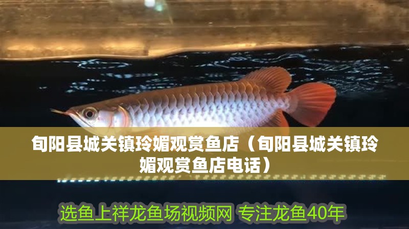 旬陽縣城關鎮玲媚觀賞魚店（旬陽縣城關鎮玲媚觀賞魚店電話）