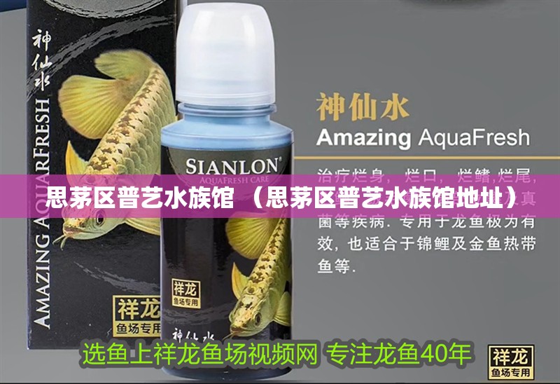 思茅區普藝水族館 （思茅區普藝水族館地址）