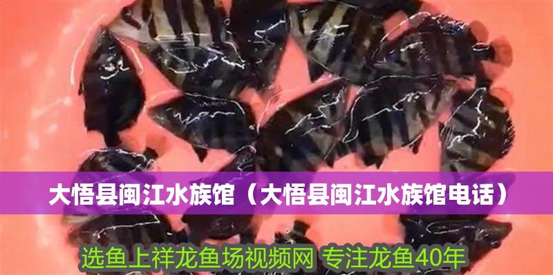 <strong><mark>大悟</mark></strong>縣閩江水族館（<strong><mark>大悟</mark></strong>縣閩江水族館電話）