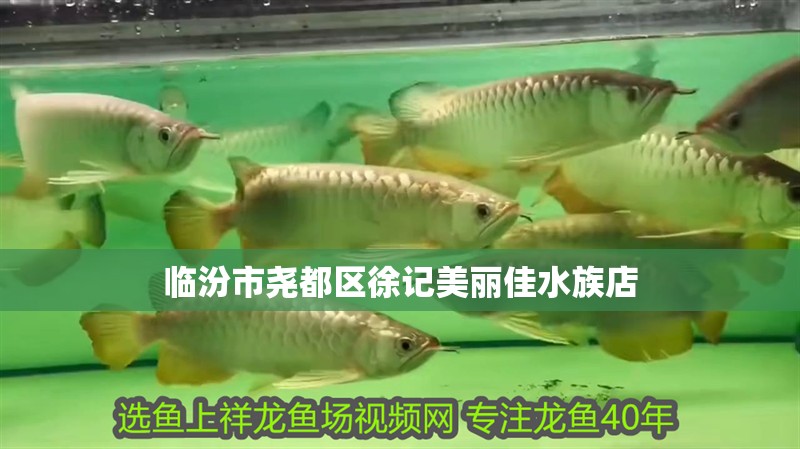臨汾市堯都區徐記美麗佳水族店