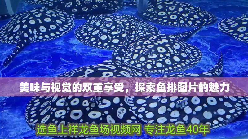 美味與視覺(jué)的雙重享受，探索魚(yú)排圖片的魅力