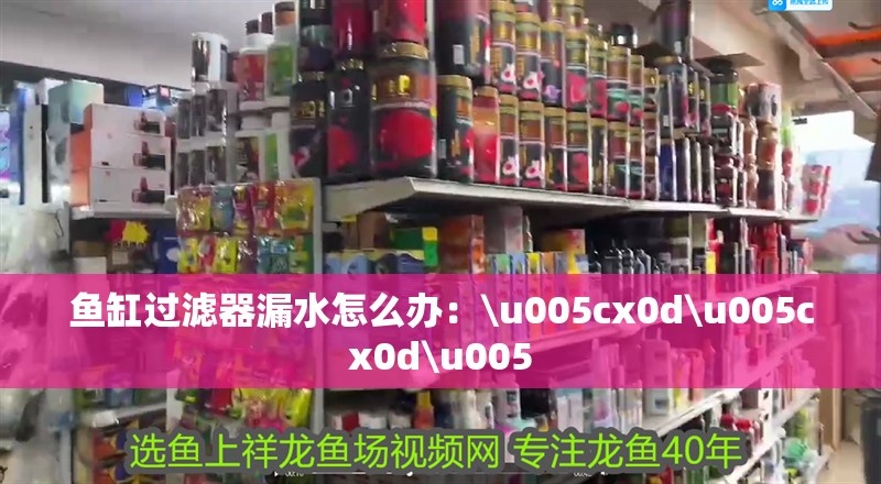 龍魚干蝦有營養(yǎng)嗎 魚缸過濾器漏水怎么辦:\u005cx0d\u005cx0d\u005 魚缸百科 魚缸過濾器漏水怎么辦:\u005cx0d\u005cx0d\u005 魚缸過濾器漏水怎么辦:\u005cx0d\u005cx0d\u005 魚缸百科