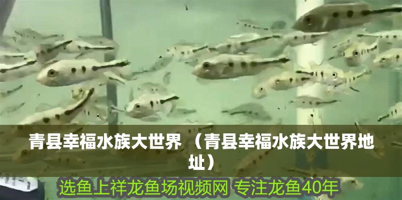 青縣幸福水族大世界 （青縣幸福水族大世界地址）