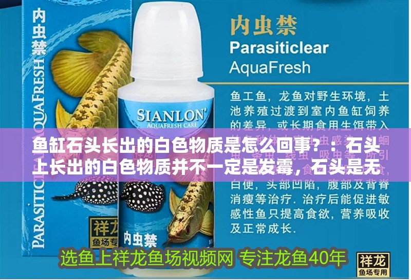 魚缸石頭長出的白色物質(zhì)是怎么回事？：石頭上長出的白色物質(zhì)并不一定是發(fā)霉，石頭是無機(jī)物質(zhì)