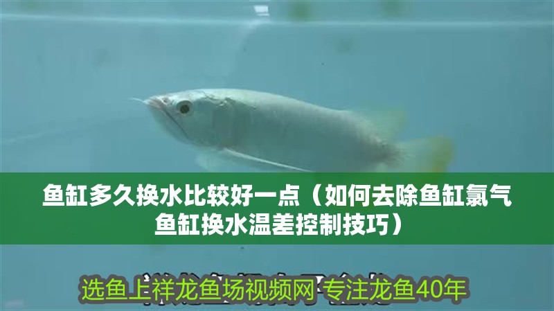 魚(yú)缸多久換水比較好一點(diǎn)（如何去除魚(yú)缸氯氣魚(yú)缸換水溫差控制技巧）