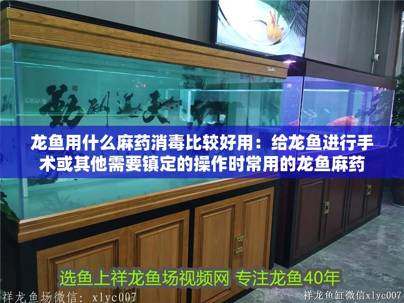 龍魚用什么麻藥消毒比較好用：給龍魚進行手術或其他需要鎮定的操作時常用的龍魚麻藥