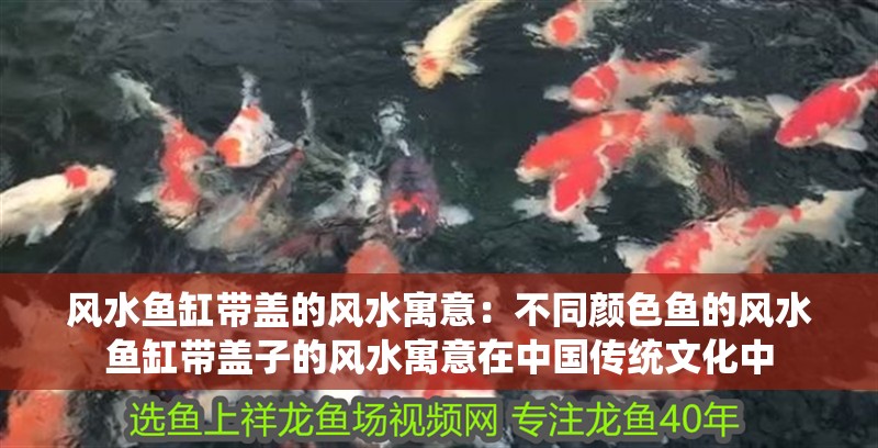 風水魚缸帶蓋的風水寓意：不同顏色魚的風水魚缸帶蓋子的風水寓意在中國傳統文化中