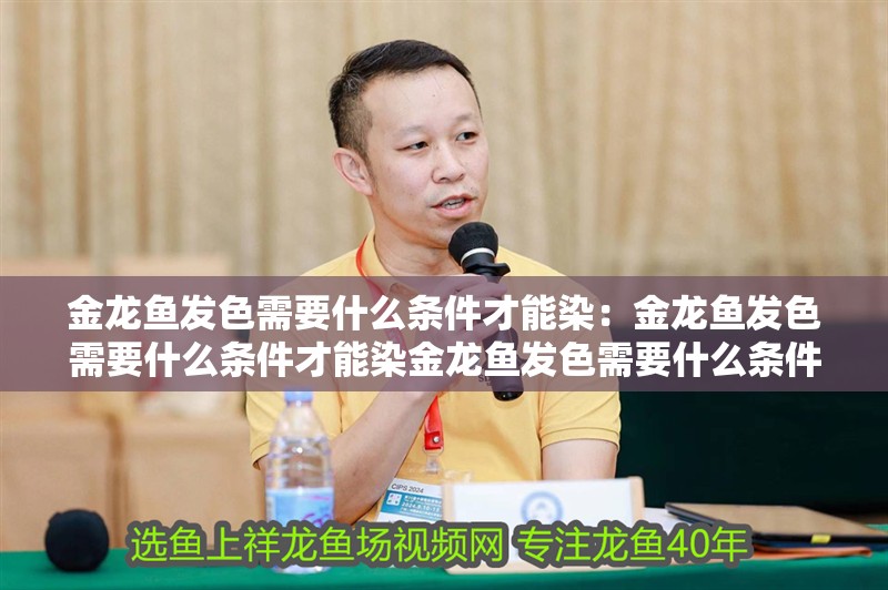 金龍魚發色需要什么條件才能染：金龍魚發色需要什么條件才能染金龍魚發色需要什么條件
