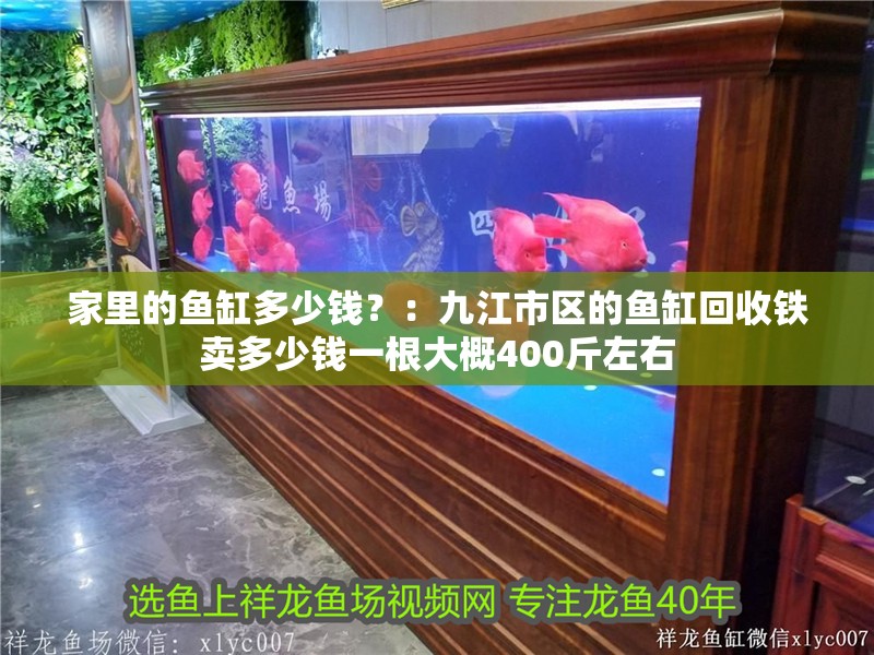 家里的魚缸多少錢？：九江市區的魚缸回收鐵賣多少錢一根大概400斤左右