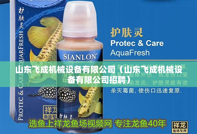 山東飛成機械設備有限公司（山東飛成機械設備有限公司招聘）