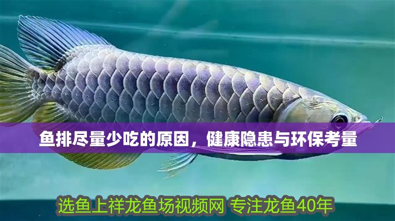 魚排盡量少吃的原因，健康隱患與環(huán)保考量