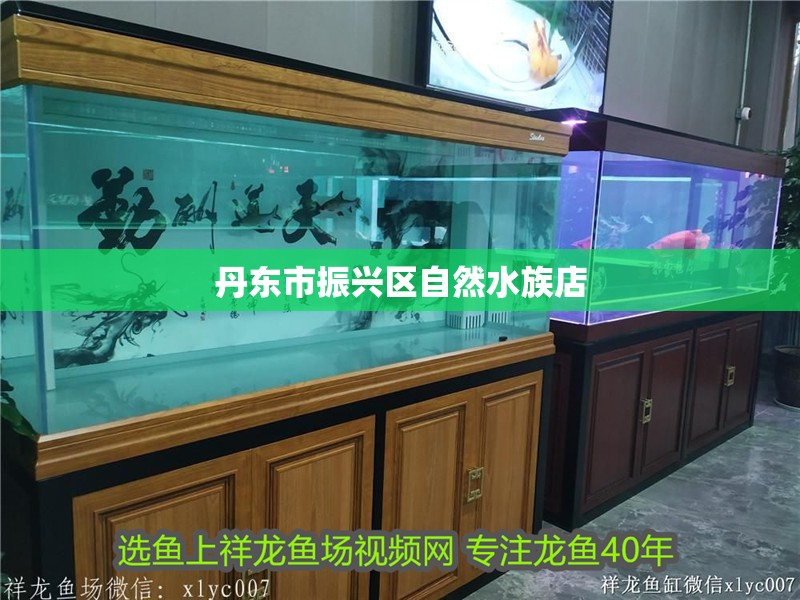 丹東市振興區自然水族店