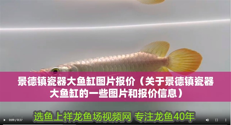 景德鎮(zhèn)瓷器大魚缸圖片報價（關(guān)于景德鎮(zhèn)瓷器大魚缸的一些圖片和報價信息）
