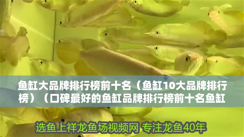 魚缸大品牌排行榜前十名（魚缸10大品牌排行榜）（口碑最好的魚缸品牌排行榜前十名魚缸品牌排行榜前十）