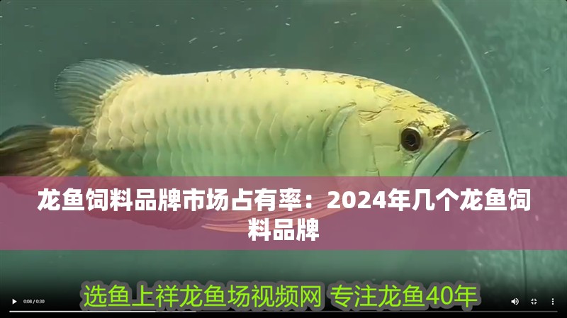 龍魚飼料品牌市場占有率：2024年幾個龍魚飼料品牌