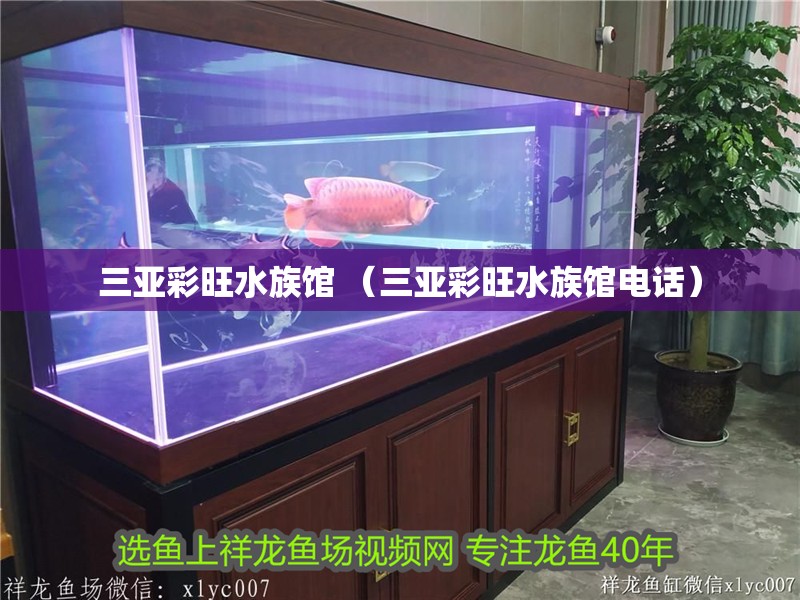 三亞彩旺水族館 （三亞彩旺水族館電話）