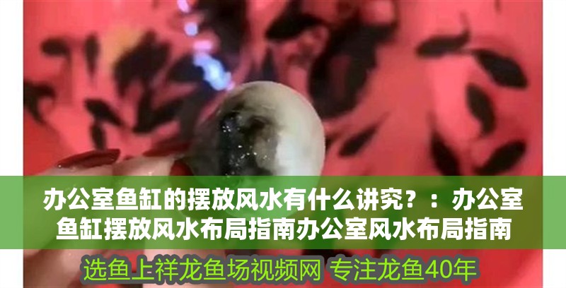 辦公室魚(yú)缸的擺放風(fēng)水有什么講究？：辦公室魚(yú)缸擺放風(fēng)水布局指南辦公室風(fēng)水布局指南