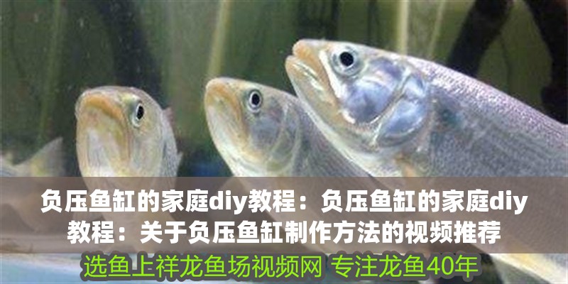 負壓魚缸的家庭diy教程：負壓魚缸的家庭diy教程：關于負壓魚缸制作方法的視頻推薦