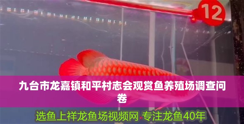 九臺市龍嘉鎮<strong><mark>和平</mark></strong>村志會觀賞魚養殖場調查問卷