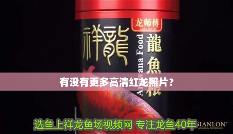 有沒有更多高清紅龍照片？